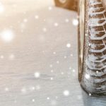 Сезонни предложения